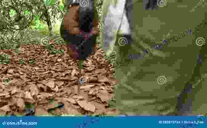 Samuel Frederick Trekking Through A Lush And Dense Jungle, A Machete In His Hand. Wait For Us Samuel Frederick